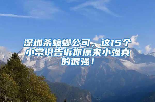 深圳殺蟑螂公司，這15個小常識告訴你原來小強真的很強！