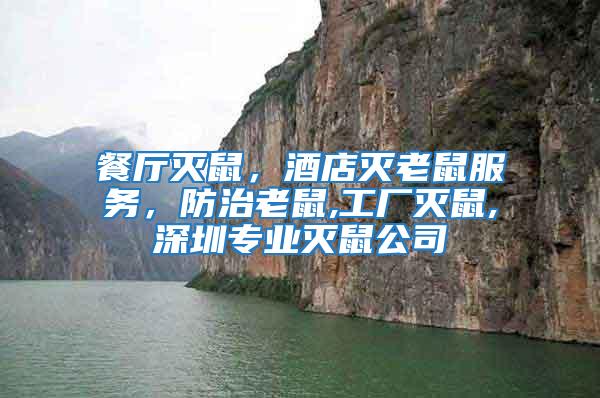 餐廳滅鼠，酒店滅老鼠服務，防治老鼠,工廠滅鼠,深圳專業滅鼠公司