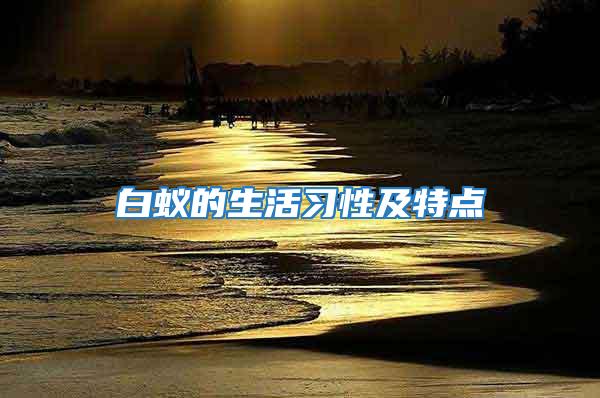 白蟻的生活習性及特點