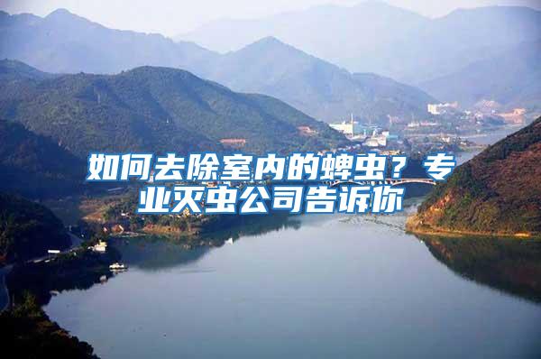 如何去除室內的蜱蟲？專業滅蟲公司告訴你