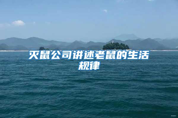 滅鼠公司講述老鼠的生活規律