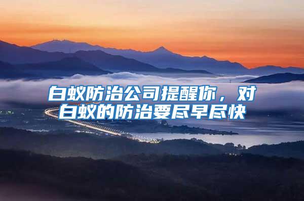 白蟻防治公司提醒你，對白蟻的防治要盡早盡快