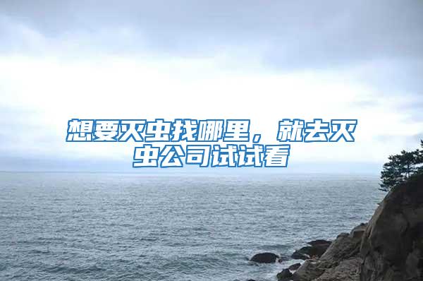 想要滅蟲找哪里，就去滅蟲公司試試看