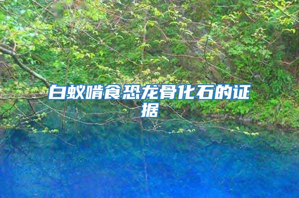 白蟻啃食恐龍骨化石的證據