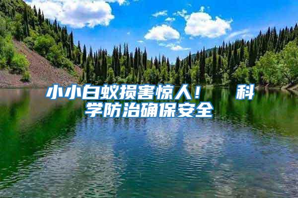 小小白蟻損害驚人！  科學防治確保安全