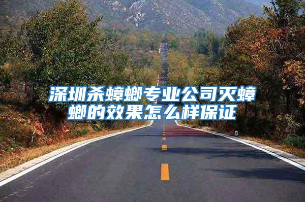 深圳殺蟑螂專業公司滅蟑螂的效果怎么樣保證