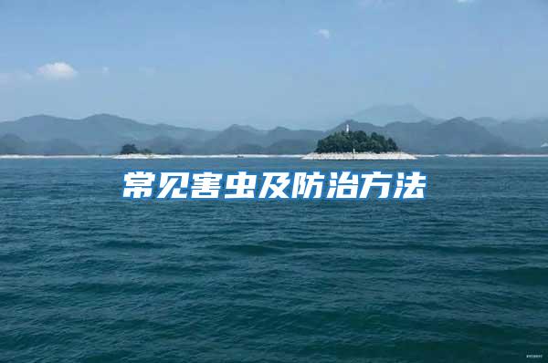 常見(jiàn)害蟲(chóng)及防治方法