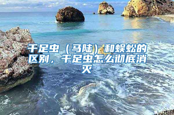 千足蟲（馬陸）和蜈蚣的區別，千足蟲怎么徹底消滅