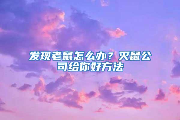 發(fā)現(xiàn)老鼠怎么辦？滅鼠公司給你好方法
