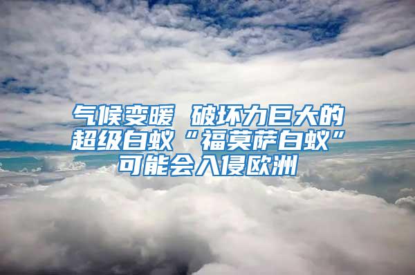氣候變暖 破壞力巨大的超級白蟻“福莫薩白蟻”可能會入侵歐洲