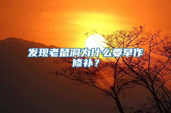 發現老鼠洞為什么要早作修補？