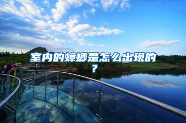 室內(nèi)的蟑螂是怎么出現(xiàn)的？