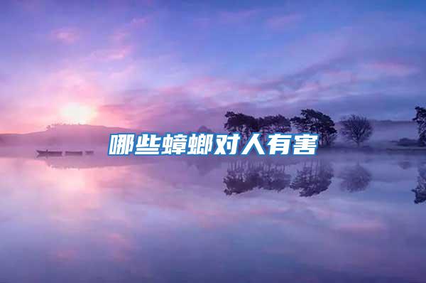 哪些蟑螂對人有害