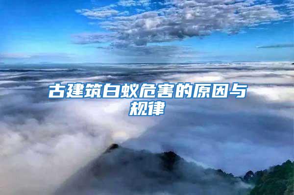 古建筑白蟻危害的原因與規律