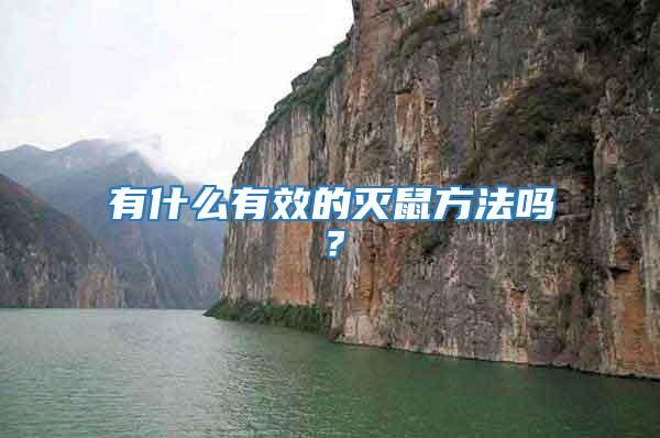 有什么有效的滅鼠方法嗎？