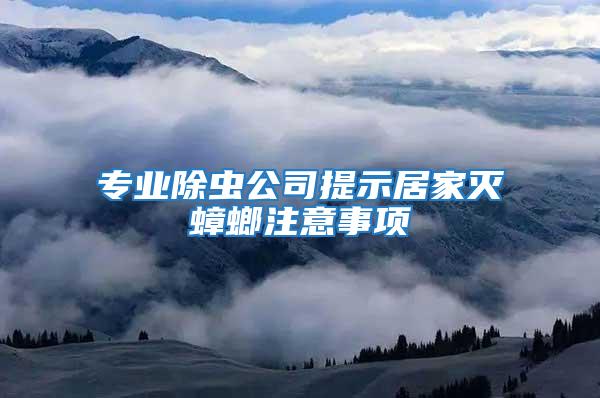 專業除蟲公司提示居家滅蟑螂注意事項