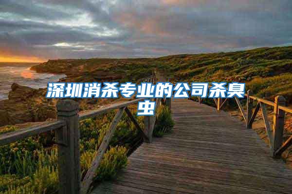深圳消殺專業的公司殺臭蟲