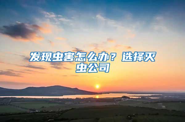 發現蟲害怎么辦？選擇滅蟲公司