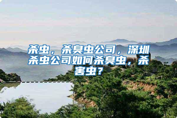 殺蟲，殺臭蟲公司，深圳殺蟲公司如何殺臭蟲，殺害蟲？
