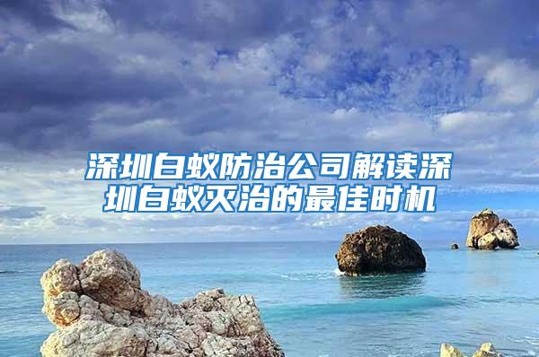 深圳白蟻防治公司解讀深圳白蟻滅治的最佳時(shí)機(jī)