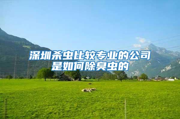 深圳殺蟲比較專業的公司是如何除臭蟲的