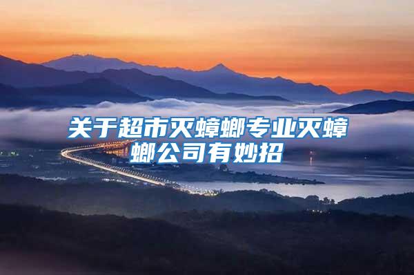 關于超市滅蟑螂專業滅蟑螂公司有妙招