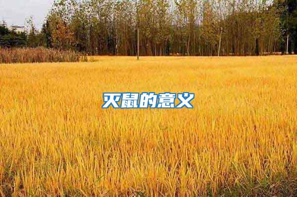 滅鼠的意義