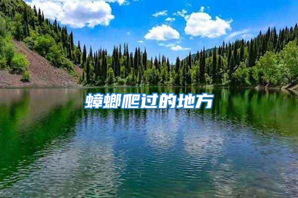 蟑螂爬過的地方