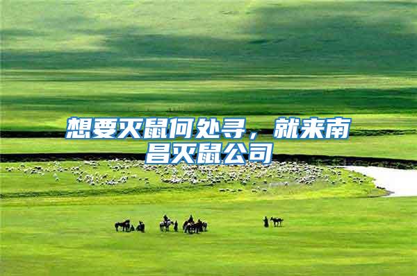 想要滅鼠何處尋，就來南昌滅鼠公司