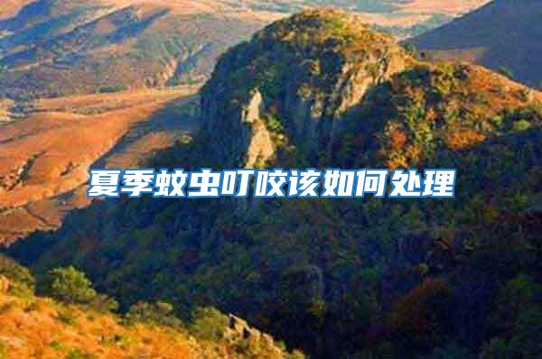 夏季蚊蟲(chóng)叮咬該如何處理