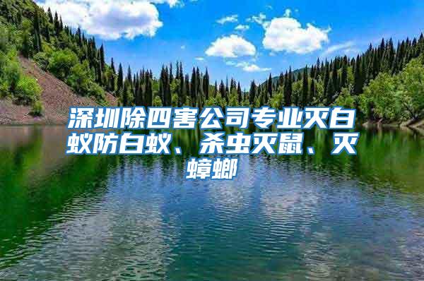 深圳除四害公司專業滅白蟻防白蟻、殺蟲滅鼠、滅蟑螂