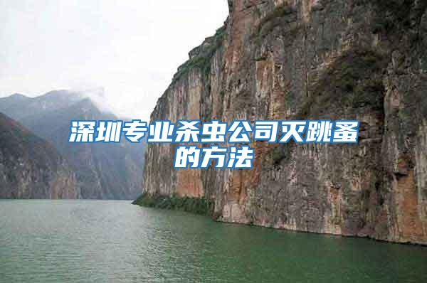 深圳專業殺蟲公司滅跳蚤的方法