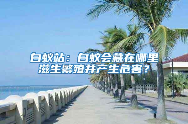 白蟻站：白蟻會藏在哪里滋生繁殖并產生危害？