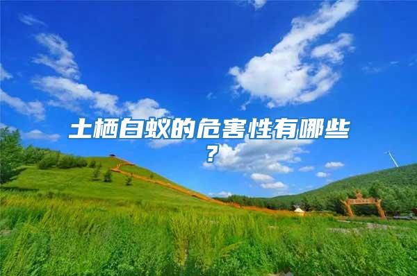 土棲白蟻的危害性有哪些？