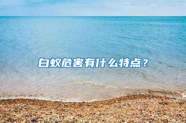 白蟻危害有什么特點？