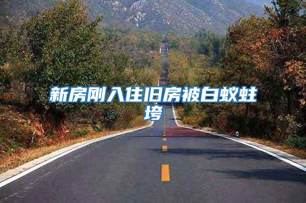 新房剛入住舊房被白蟻蛀垮