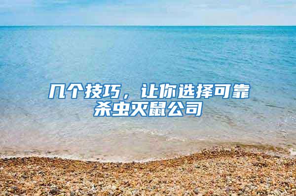 幾個技巧，讓你選擇可靠殺蟲滅鼠公司