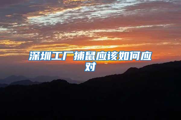 深圳工廠捕鼠應該如何應對