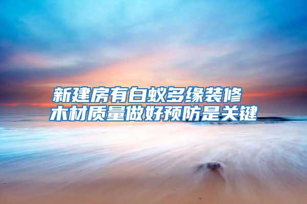 新建房有白蟻多緣裝修 木材質量做好預防是關鍵