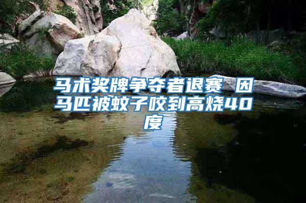 馬術獎牌爭奪者退賽 因馬匹被蚊子咬到高燒40度