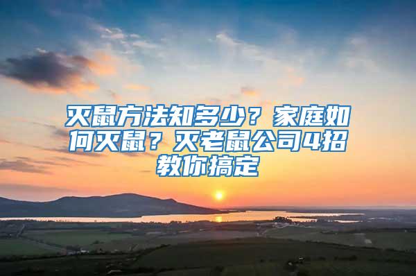 滅鼠方法知多少？家庭如何滅鼠？滅老鼠公司4招教你搞定