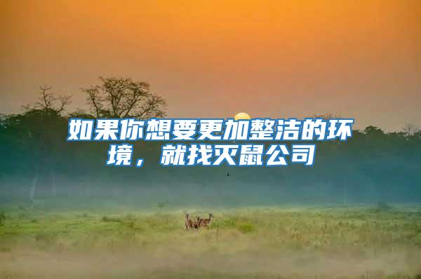 如果你想要更加整潔的環(huán)境，就找滅鼠公司