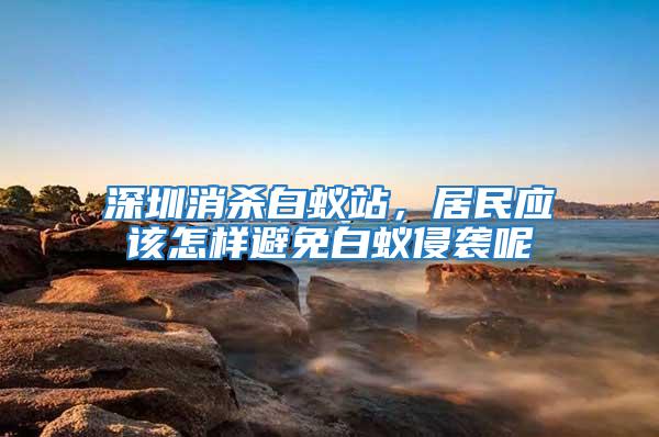 深圳消殺白蟻站，居民應該怎樣避免白蟻侵襲呢