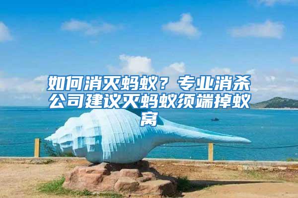 如何消滅螞蟻？專業消殺公司建議滅螞蟻須端掉蟻窩