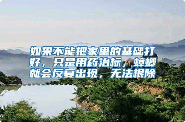 如果不能把家里的基礎(chǔ)打好，只是用藥治標(biāo)，蟑螂就會反復(fù)出現(xiàn)，無法根除