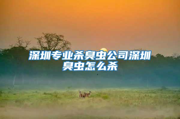 深圳專業殺臭蟲公司深圳臭蟲怎么殺
