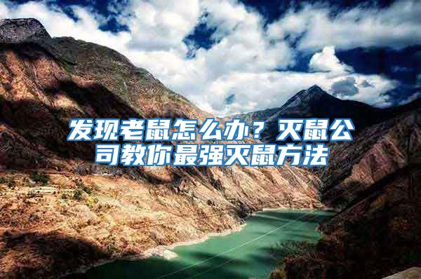 發現老鼠怎么辦？滅鼠公司教你最強滅鼠方法