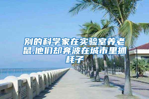 別的科學家在實驗室養老鼠,他們卻奔波在城市里抓耗子