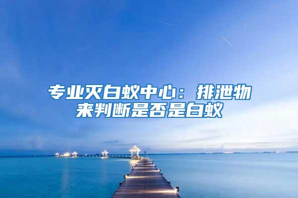 專業滅白蟻中心：排泄物來判斷是否是白蟻