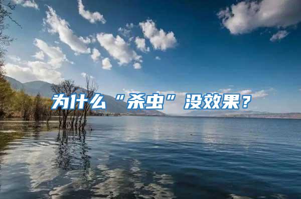 為什么“殺蟲(chóng)”沒(méi)效果？